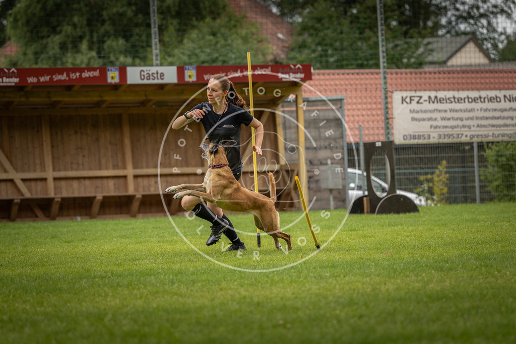 Pfotenfotografie_DV3A7900 | Hundefotografie, Tierfotograf, Pfotenfotografie, Fotoshooting Hund, Hunde Portrait, Hundesport, Hundeportraits, Heideshooting, Hunde, Sportfotograf, Hundefotograf, Turnierhundsport, THS,  - Realisiert mit Pictrs.com