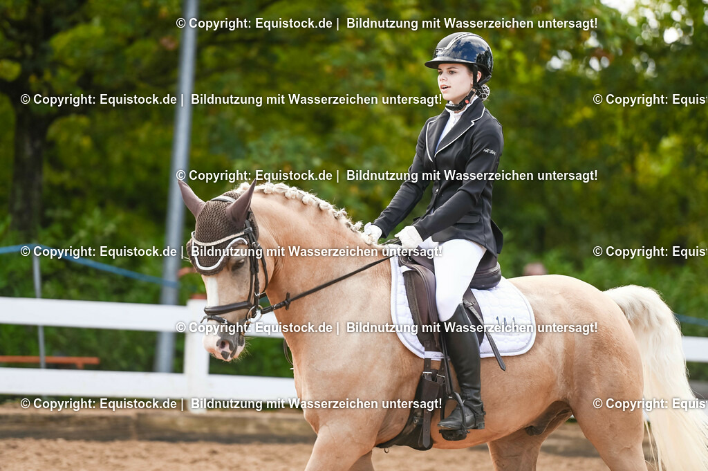 20230716_04_Dressurreiterprüfung Kl.A_0353 | equistock