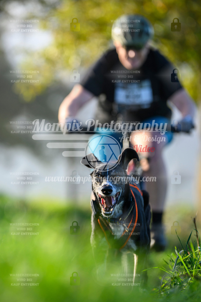 MompixPhotography_20TSB_E3_Bike-213 | PayLife
