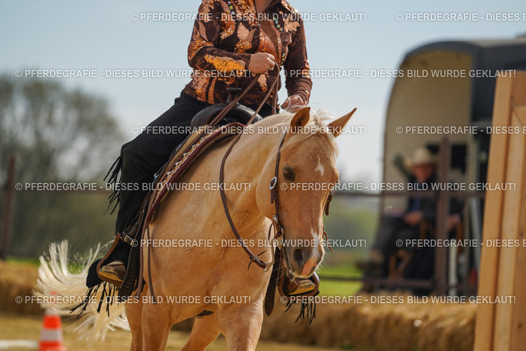 DSC02173 | Pferdegrafie