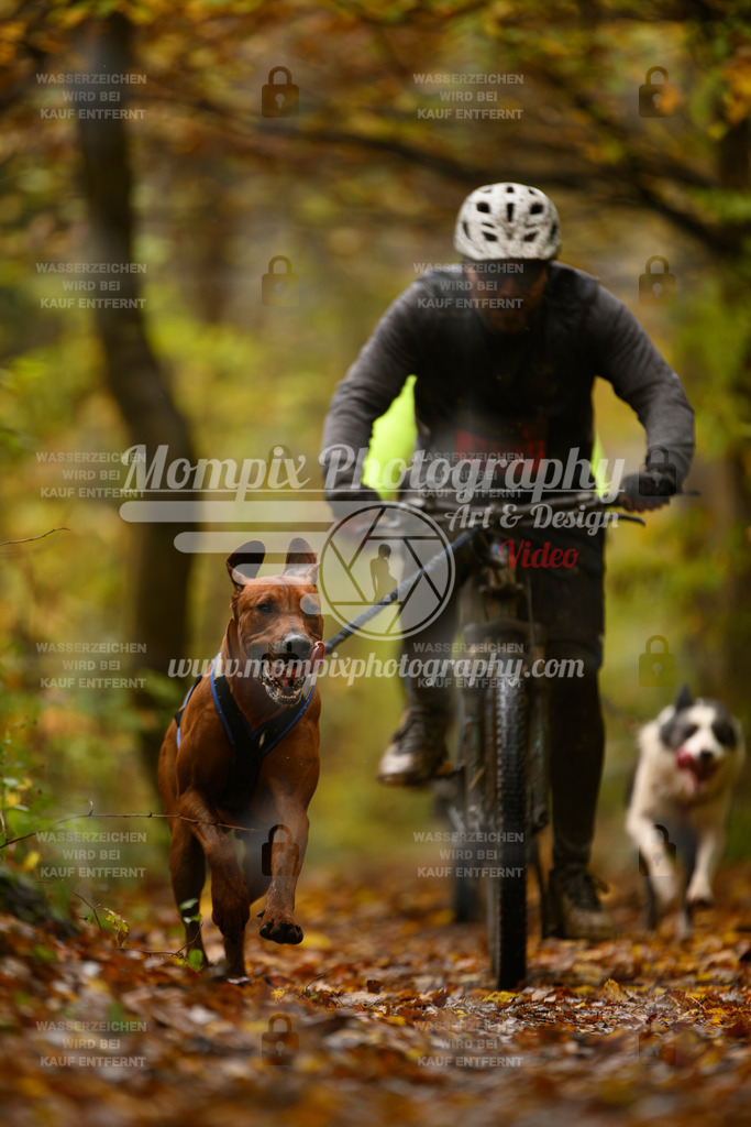 MompixPhotography_CD7S_DI_Bike-30 | mompixphotography