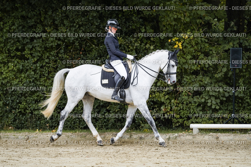 DSC08481 | Pferdegrafie