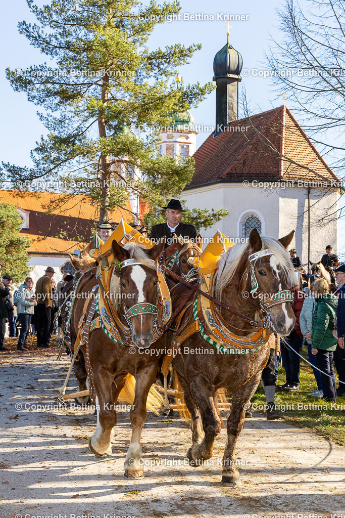 LBT25-1340 | foto-bettina-krinner - Realisiert mit Pictrs.com