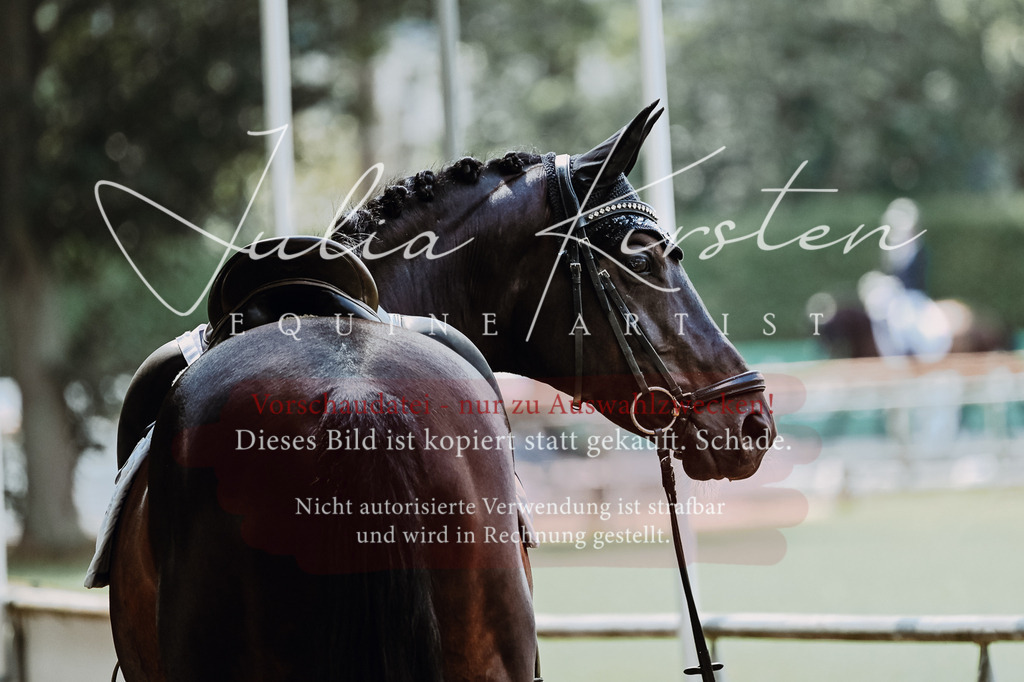 DSC_2749 | Pferde- und Turnierfotografie in Westsachsen. Pferdeportraits, Auftragszeichnungen und intuitive Kunst.