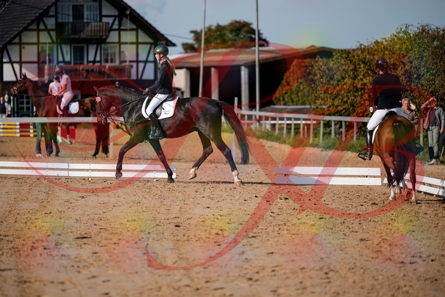 2026_10_03_Siefer-Hof_115452_Z63_30135269 | Professionelle Reitsport-, Turnier- und Eventfotografie von Robert Broda. Galerien mit ausgewählten und bearbeiteten Bildern direkt online ansehen und bestellen.
