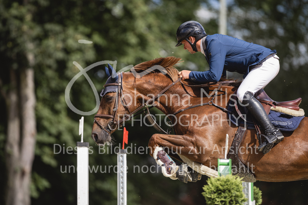 230826_Delbrueck_Youngster-M-533 | Deine schönsten Turniermomente als professionelle Fotos! Entdecke hochwertige Pferdesport-Fotografie im Online-Shop. Jetzt Fotos finden & bestellen!