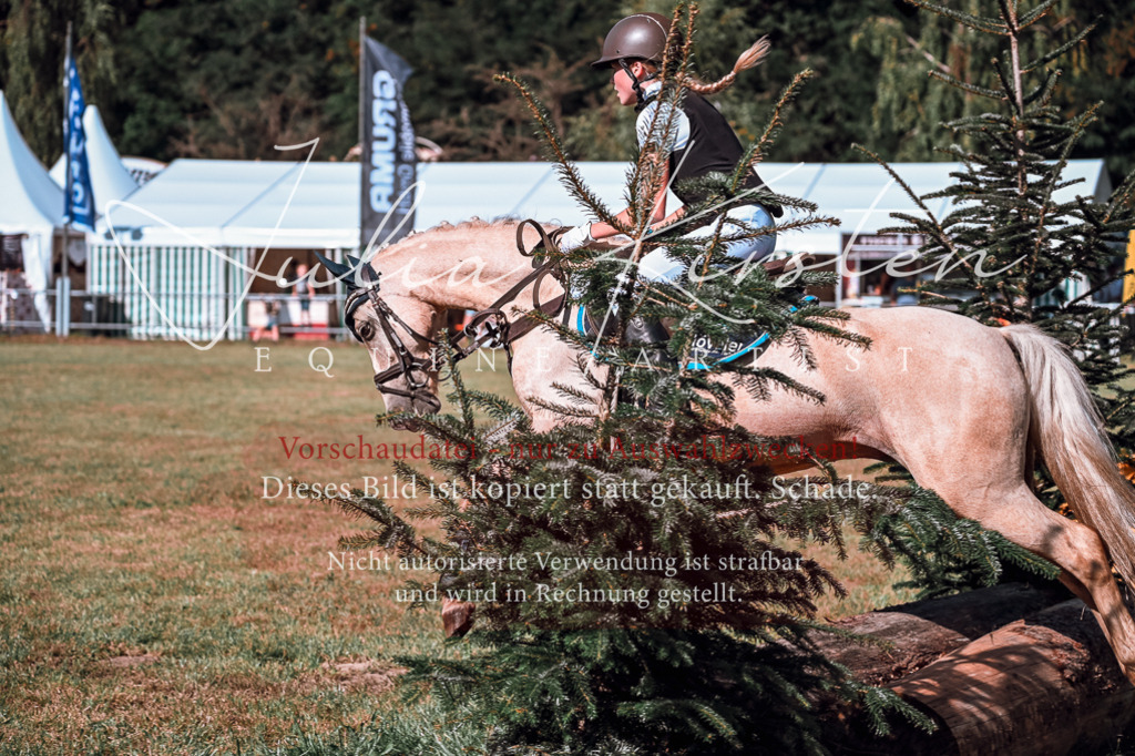 DSC_1075 | Pferde- und Turnierfotografie in Westsachsen. Pferdeportraits, Auftragszeichnungen und intuitive Kunst.