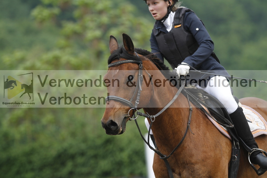 _MG_4393 | equestrian-live-com