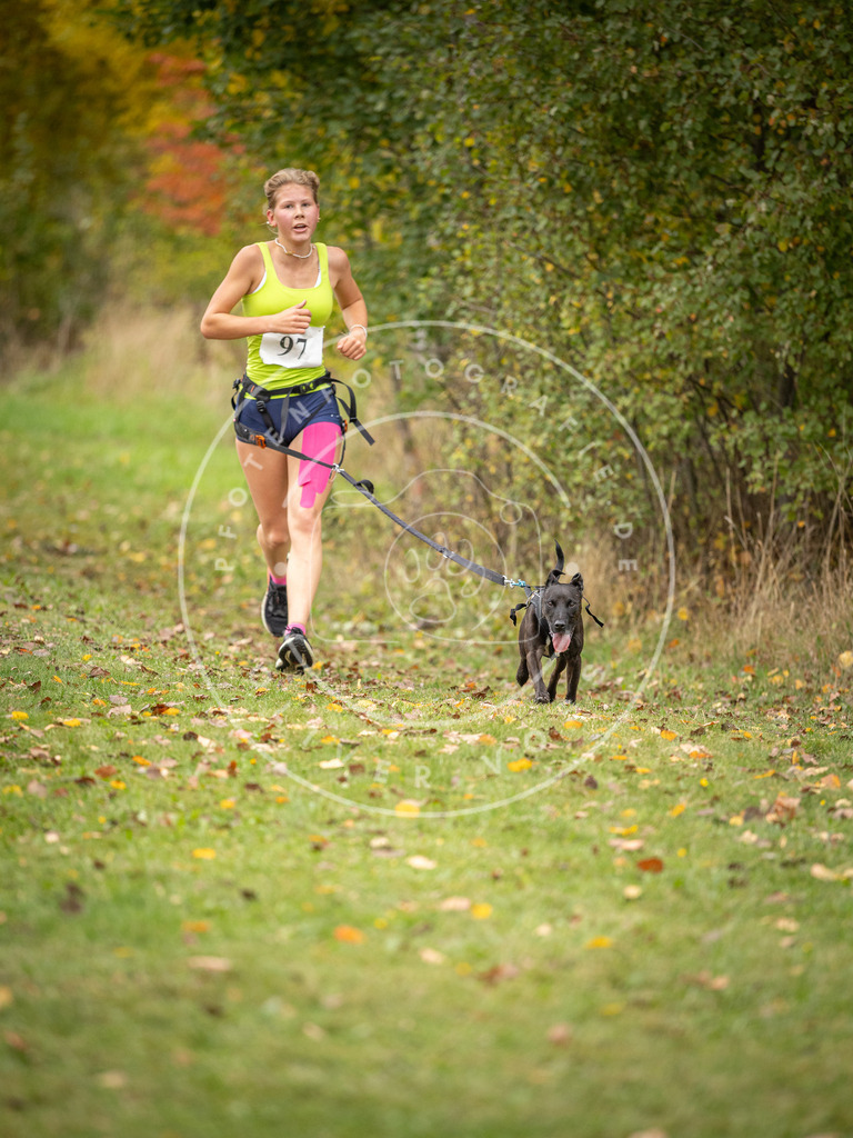 Pfotenfotografie_DV3A3385 | Hundefotografie, Tierfotograf, Pfotenfotografie, Fotoshooting Hund, Hunde Portrait, Hundesport, Hundeportraits, Heideshooting, Hunde, Sportfotograf, Hundefotograf, Turnierhundsport, THS,  - Realisiert mit Pictrs.com