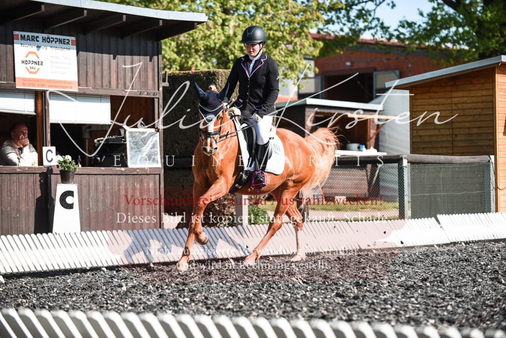DSC_8429 | Pferde- und Turnierfotografie in Westsachsen. Pferdeportraits, Auftragszeichnungen und intuitive Kunst.