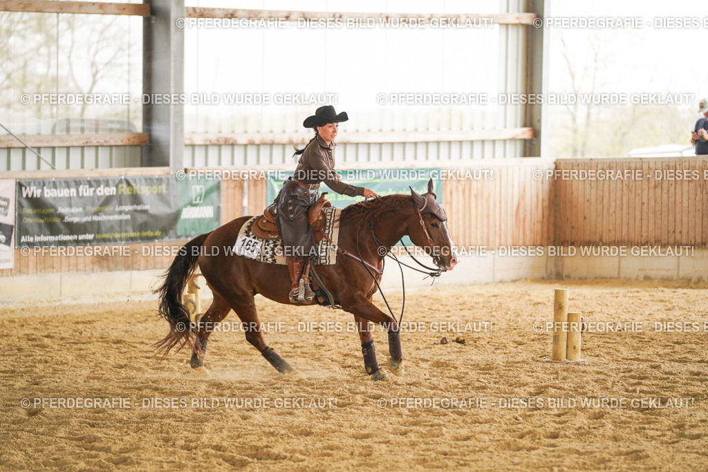 DSC04798 | Pferdegrafie