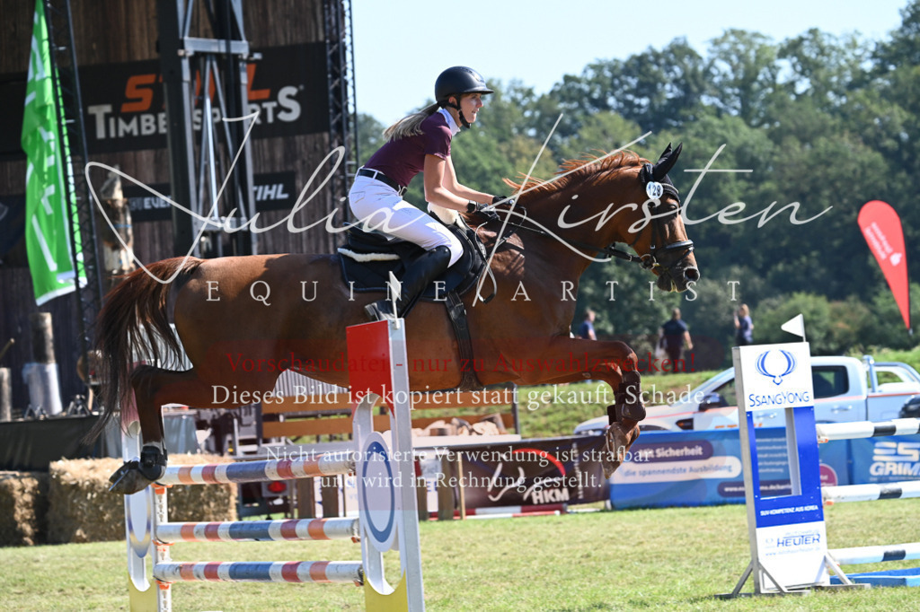 DSC_6423 | Pferde- und Turnierfotografie in Westsachsen. Pferdeportraits, Auftragszeichnungen und intuitive Kunst.