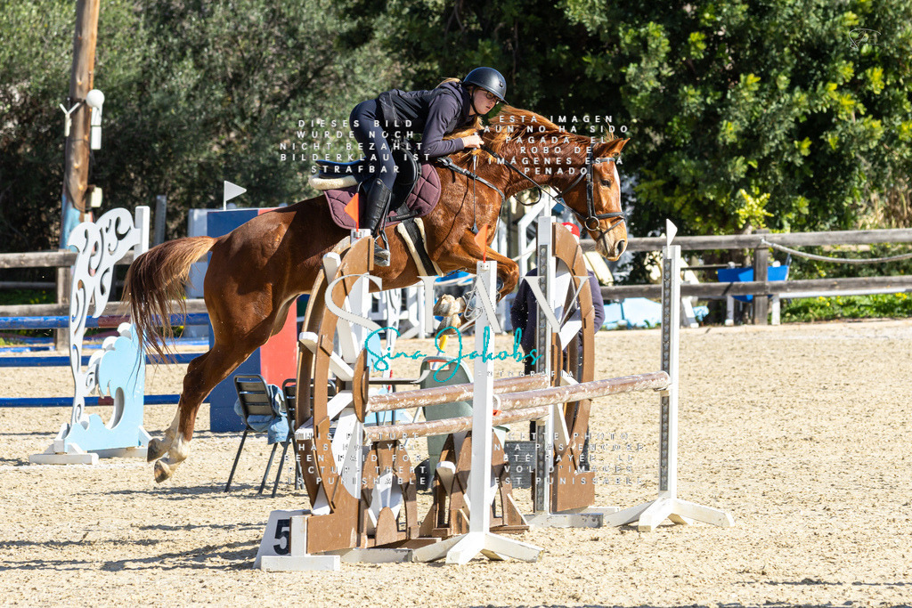 IMG_3927 | s-jay-photography - Realisiert mit Pictrs.com