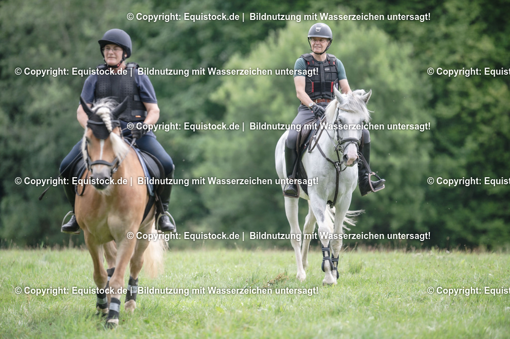 20250726_Vielseitigkeitslehrgang-Marbach_0568 | Foto: Thomas Hartig