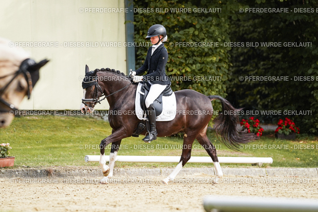 DSC04901 | Pferdegrafie