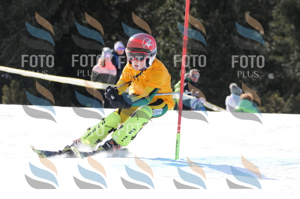 C7260 | holidayphoto