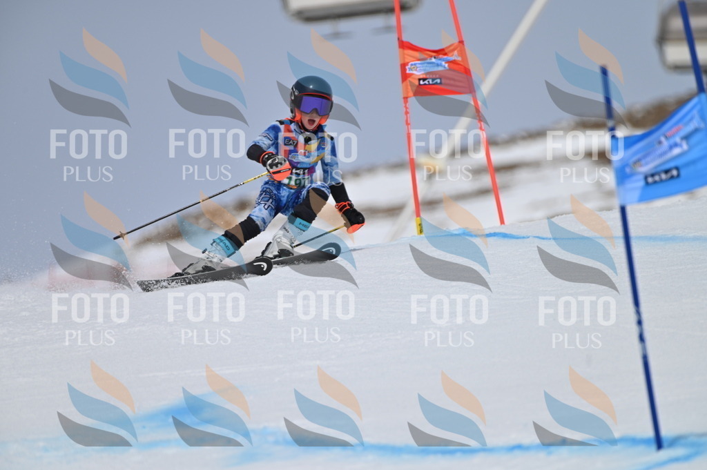 BGV_3777 | holidayphoto