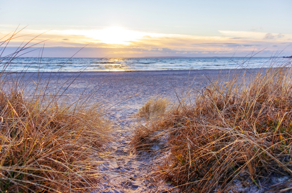 Wandbild: Sonnenaufgang an der Ostsee | Dieses Wandbild im Querformat zeigt einen schönen Sonnenaufgang an der Ostsee. Im Vordergrund ist ein Weg inmitten von Strandhafer zu sehen, der teilweise von dem Licht der aufgehenden Sonne angeleuchtet wird. Auf dem Meer sind zahlreiche Wellen. Am Himmel scheint die Sonne durch Wolken am Horizont.  - Realisiert mit Pictrs.com