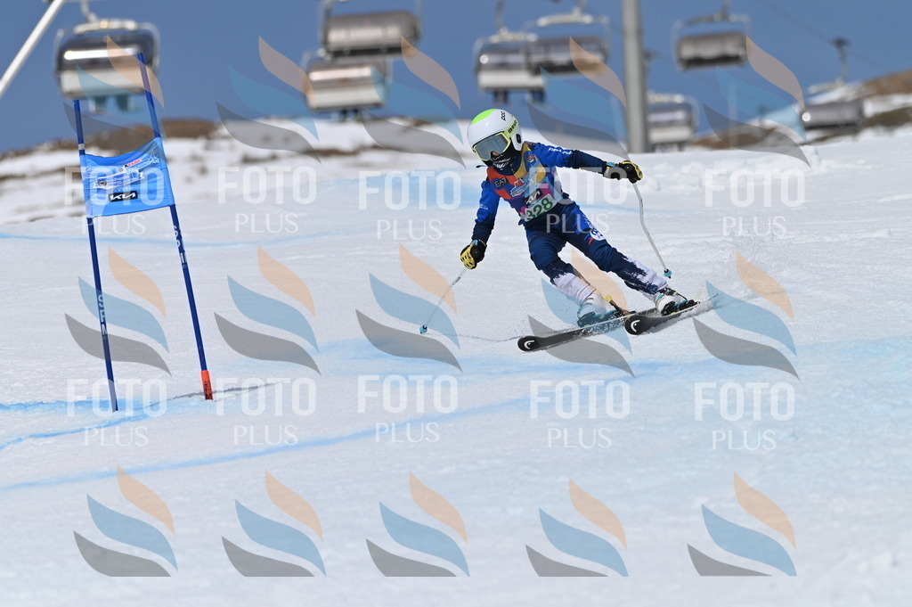 BGV_6498 | holidayphoto