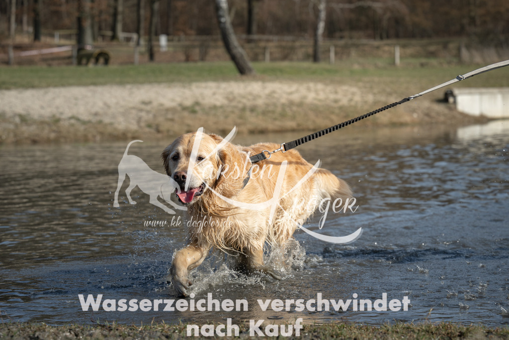 1332_ZZ96992 | kk-dogfotos