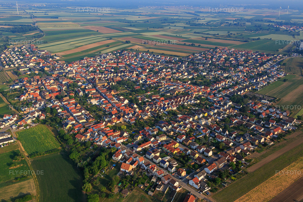 Luftbild: Rheinfeldstr im Ortsteil Mechtersheim in Römerberg im Bundesland Rheinland-Pfalz in Deutschland. Foto: IMG_080539.jpg vom 12.06.2015 durch Werner Riehm/FLY-FOTO.de