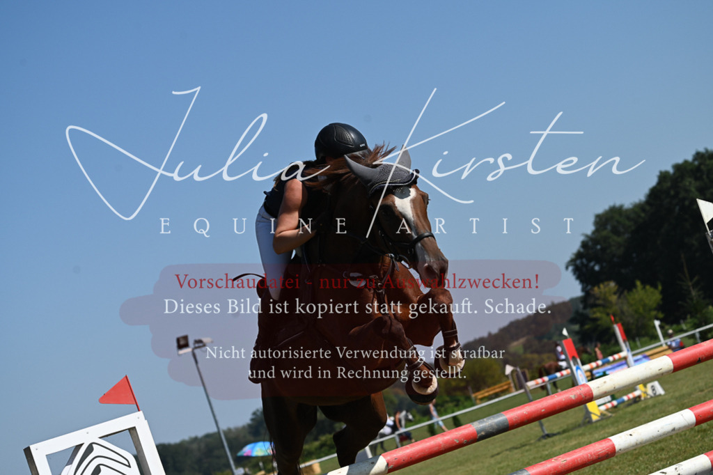 DSC_6455 | Pferde- und Turnierfotografie in Westsachsen. Pferdeportraits, Auftragszeichnungen und intuitive Kunst.