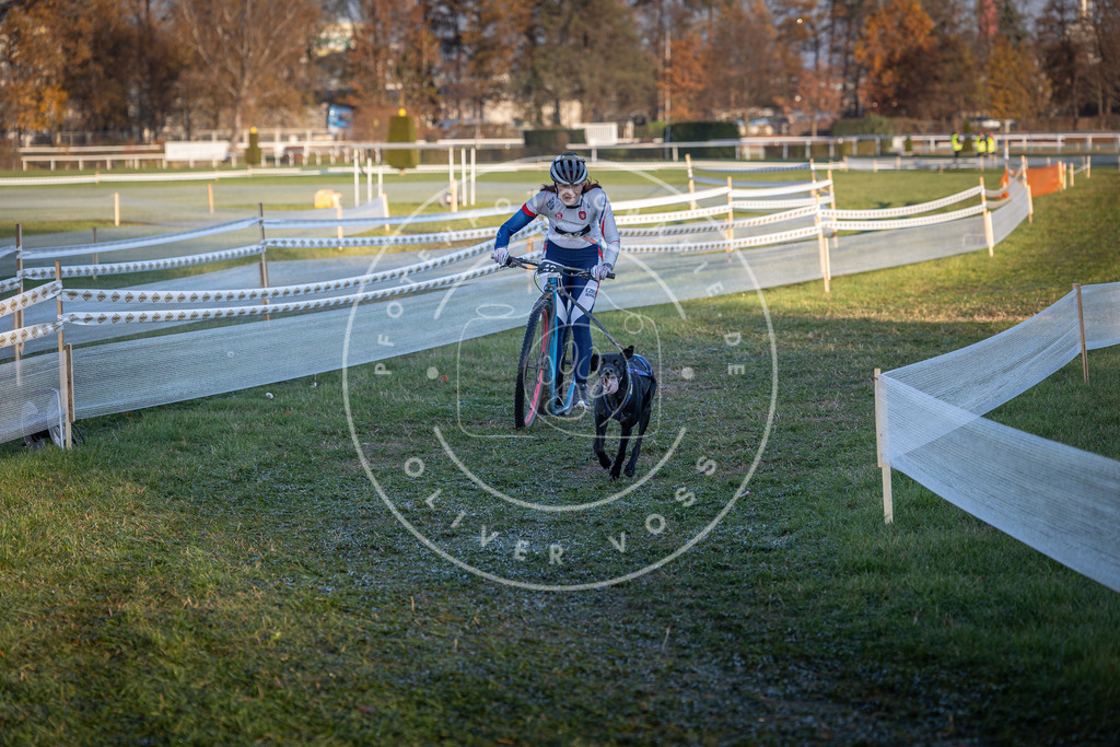 CaniXpix_0L8A2482 | Hundefotografie, Tierfotograf, Pfotenfotografie, Fotoshooting Hund, Hunde Portrait, Hundesport, Hundeportraits, Heideshooting, Hunde, Sportfotograf, Hundefotograf, Turnierhundsport, THS,  - Realisiert mit Pictrs.com