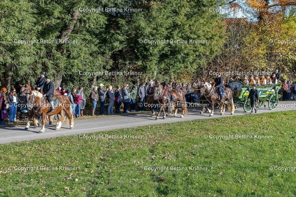 LBT25-103 | foto-bettina-krinner - Realisiert mit Pictrs.com