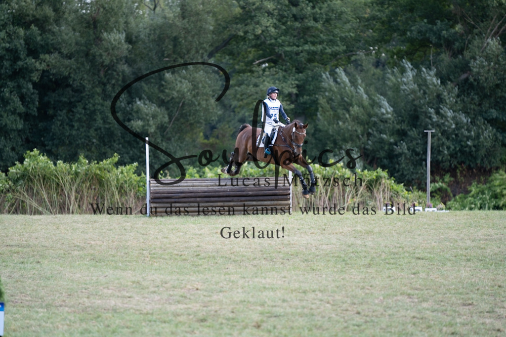 A7V00993 | Pferdefotograf