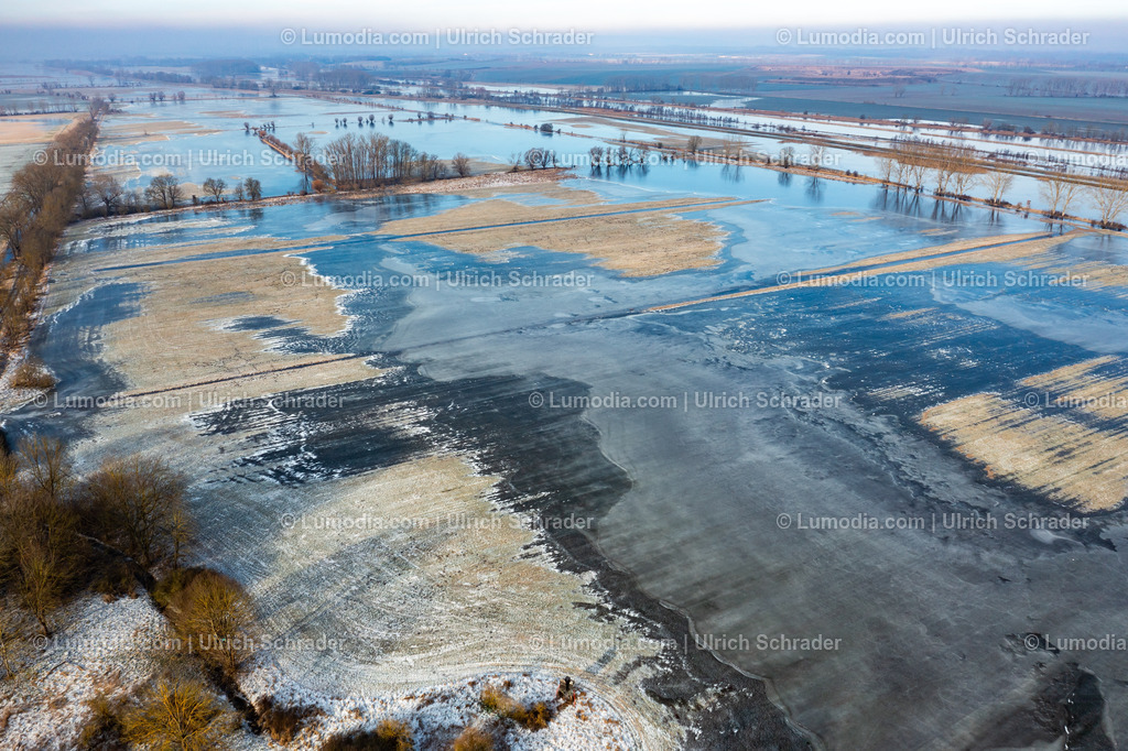 10049-51831 - Hochwasser im Großen Bruch | Stockfoto und Bilderpool mit Bildmaterial aus Deutschland, dem Harz, Halberstadt, Quedlinburg, Wernigerode und weltweit. Qualitativ hochwertige und professionelle Fotos anschauen und kaufen. - Realisiert mit Pictrs.com