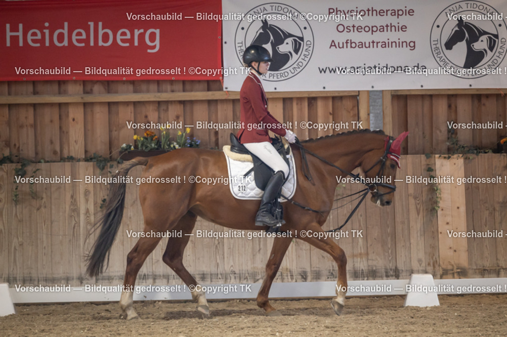 _D5A2487 | Emotionale Pferde- & People-Fotografie rund um Heidelberg, Leimen & Umgebung. Natürliche Fotos von Pferd, Mensch & Familie. Jetzt Termin sichern!