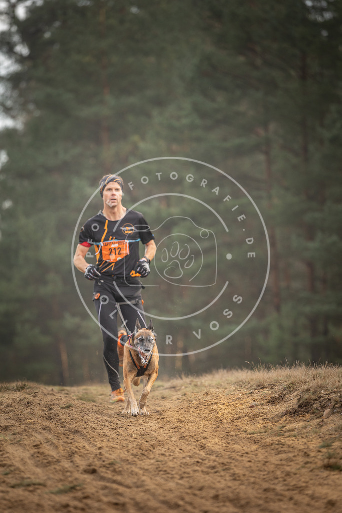 Pfotenfotografie_DV3A5187 | Hundefotografie, Tierfotograf, Pfotenfotografie, Fotoshooting Hund, Hunde Portrait, Hundesport, Hundeportraits, Heideshooting, Hunde, Sportfotograf, Hundefotograf, Turnierhundsport, THS,  - Realisiert mit Pictrs.com