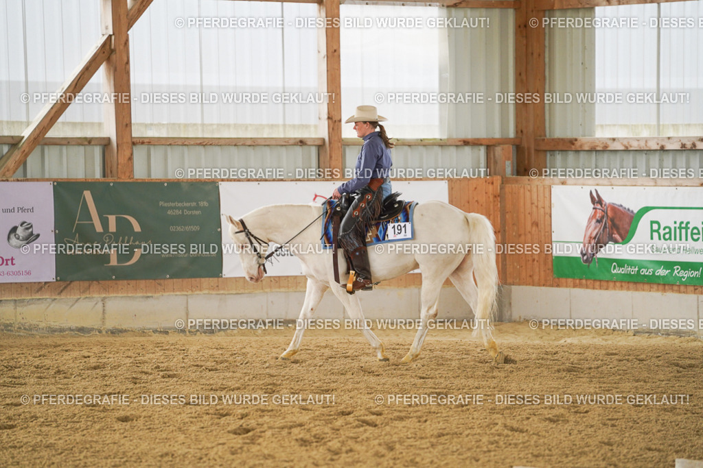 DSC04404 | Pferdegrafie