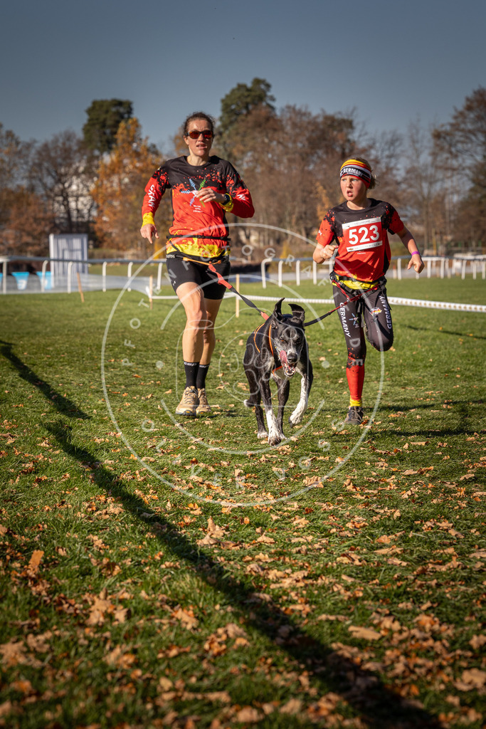 CaniXpix_0L8A7146 | Hundefotografie, Tierfotograf, Pfotenfotografie, Fotoshooting Hund, Hunde Portrait, Hundesport, Hundeportraits, Heideshooting, Hunde, Sportfotograf, Hundefotograf, Turnierhundsport, THS,  - Realisiert mit Pictrs.com