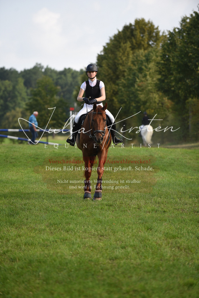 DSC_8544 | Pferde- und Turnierfotografie in Westsachsen. Pferdeportraits, Auftragszeichnungen und intuitive Kunst.