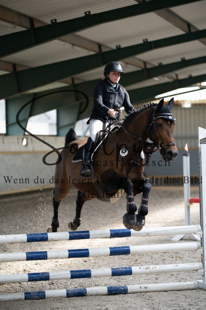 A7V07966 | Pferdefotograf