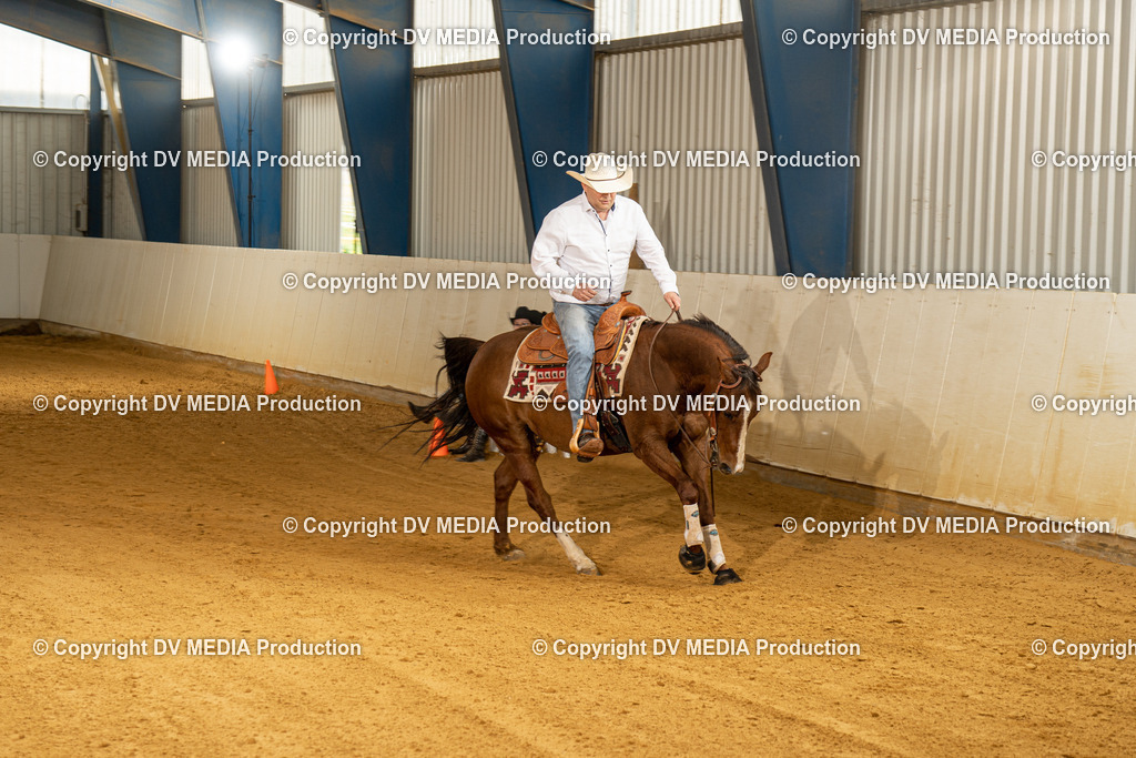 MIT00227 | dv-media-shop - Realisiert mit Pictrs.com