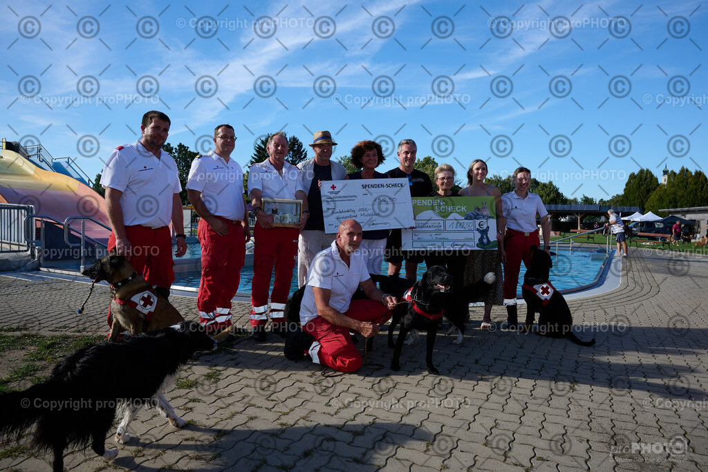 256_202509_4Hundebadetag_NZ9_3037 | proPHOTO - Realisiert mit Pictrs.com