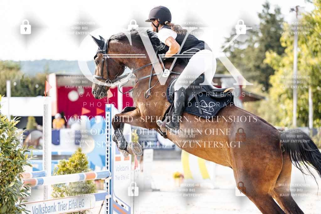 CK905865 | Turnierfotografie Pferdefotografie Trier Rheinland-Pfalz Pferdesport Reitsport Tierfotografie Sportfotografie Pferdevideo Pferdevideografie Equestrianvideography equestrianphotography  - Realisiert mit Pictrs.com