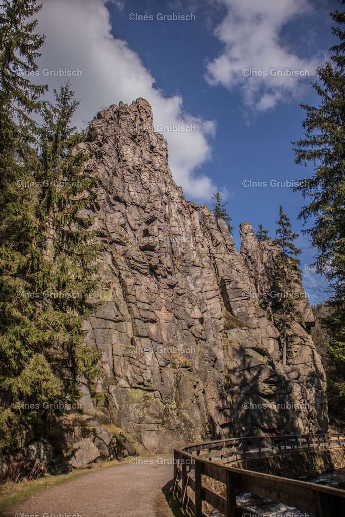 Nonnenfelsen am Schwarzwasser | Lila Lubbenbomm - Artwork by Ines Grubisch - Realisiert mit Pictrs.com