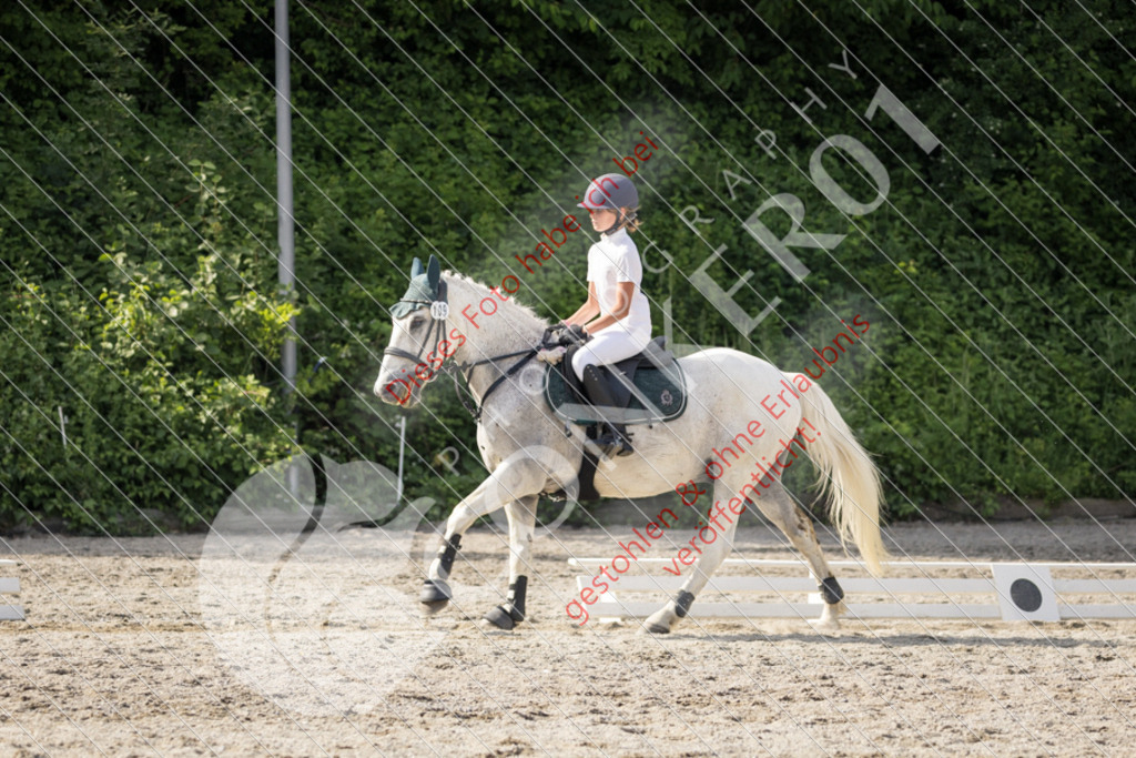 IMG_5913 | Sport-, Event- und Tierfotos in Profiqualität. Einfach auswählen, bestellen und herunterladen. Dein Moment – perfekt festgehalten.