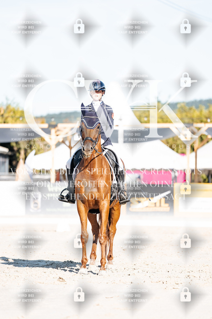 CK907282 | Turnierfotografie Pferdefotografie Trier Rheinland-Pfalz Pferdesport Reitsport Tierfotografie Sportfotografie Pferdevideo Pferdevideografie Equestrianvideography equestrianphotography  - Realisiert mit Pictrs.com