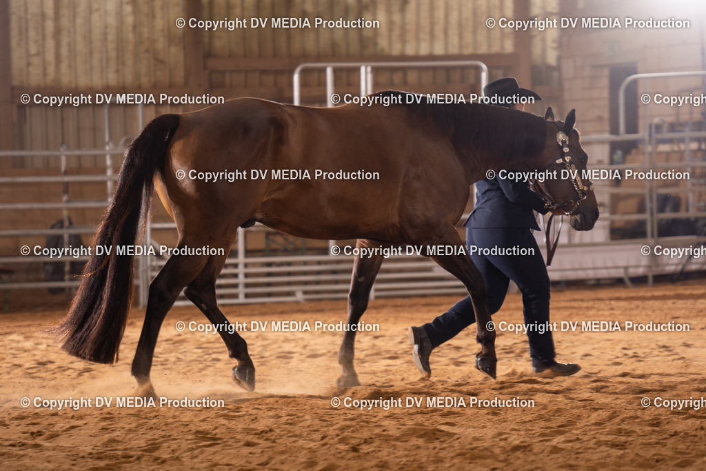 NID00082 | dv-media-shop - Realisiert mit Pictrs.com