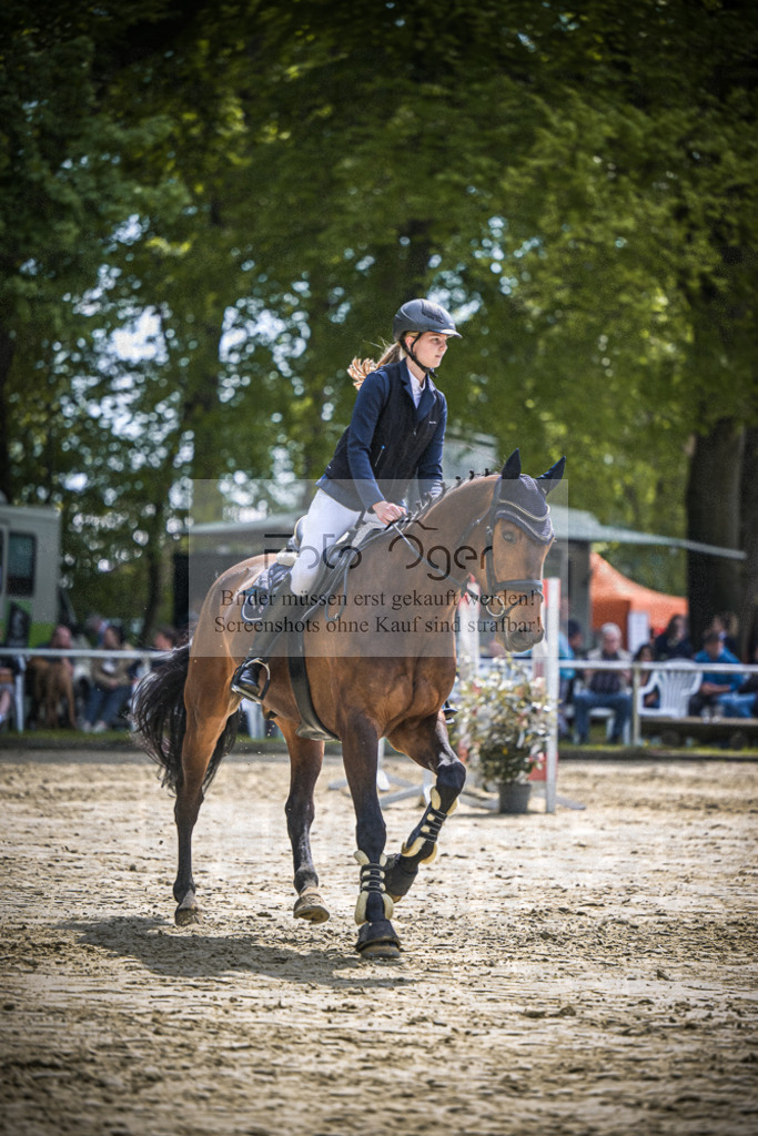 DOS_0091 | Entdecke hochwertige Reitturnierfotos von Foto Oger. Professionell, emotional und authentisch – jetzt Lieblingsmomente im Shop bestellen.Deutschlandweite Turnierfotografie. - Realisiert mit Pictrs.com