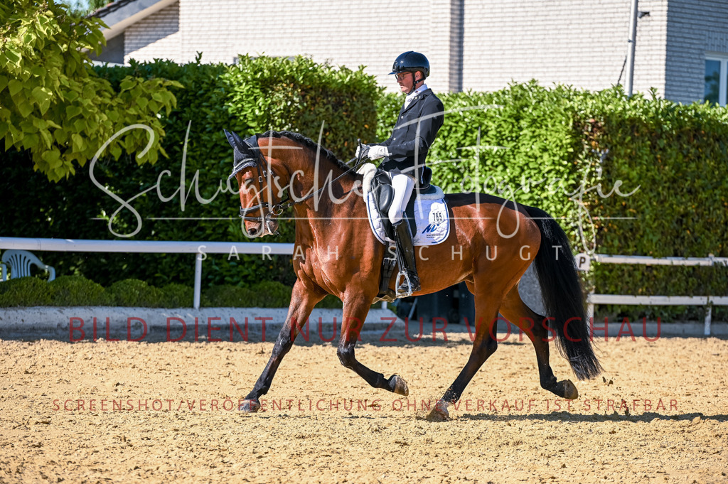 Schugtsche-Aluta25-50.Dressurpferdeprf.L-248 | Schugtsche Fotografie - Realisiert mit Pictrs.com