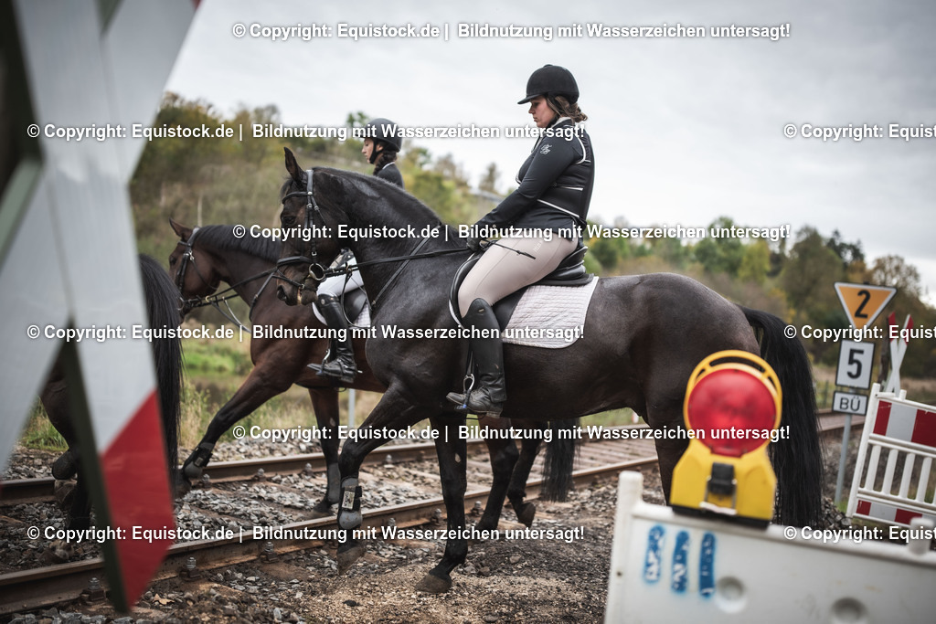 20241013_Jagd-Marbach_0396 | Foto: Thomas Hartig