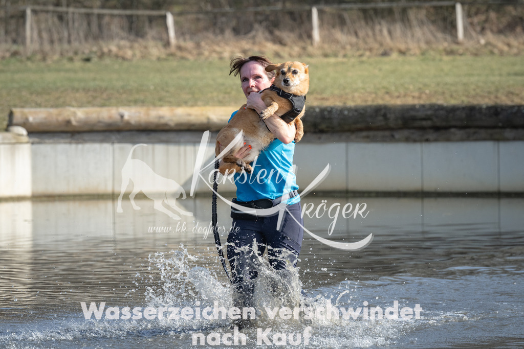 1350_ZZ98289 | kk-dogfotos