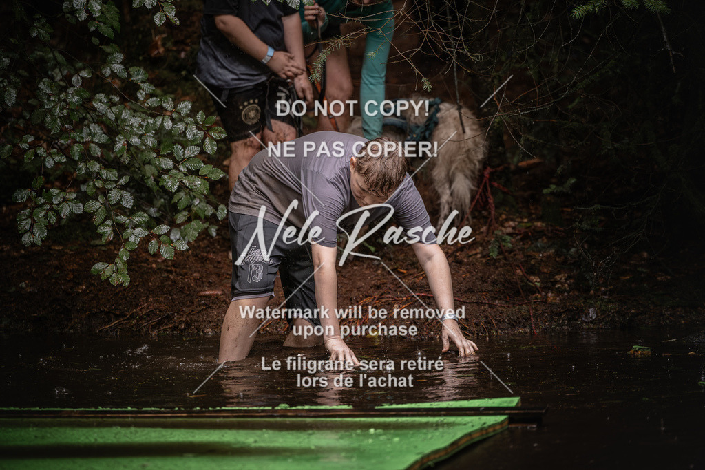 nelerasche_Wingst_Sa1330-1400_159 | nelerasche