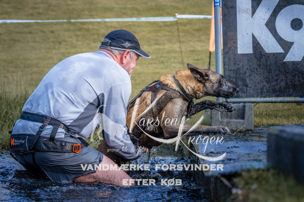 _ZZ964420734 | kk-dogfotos