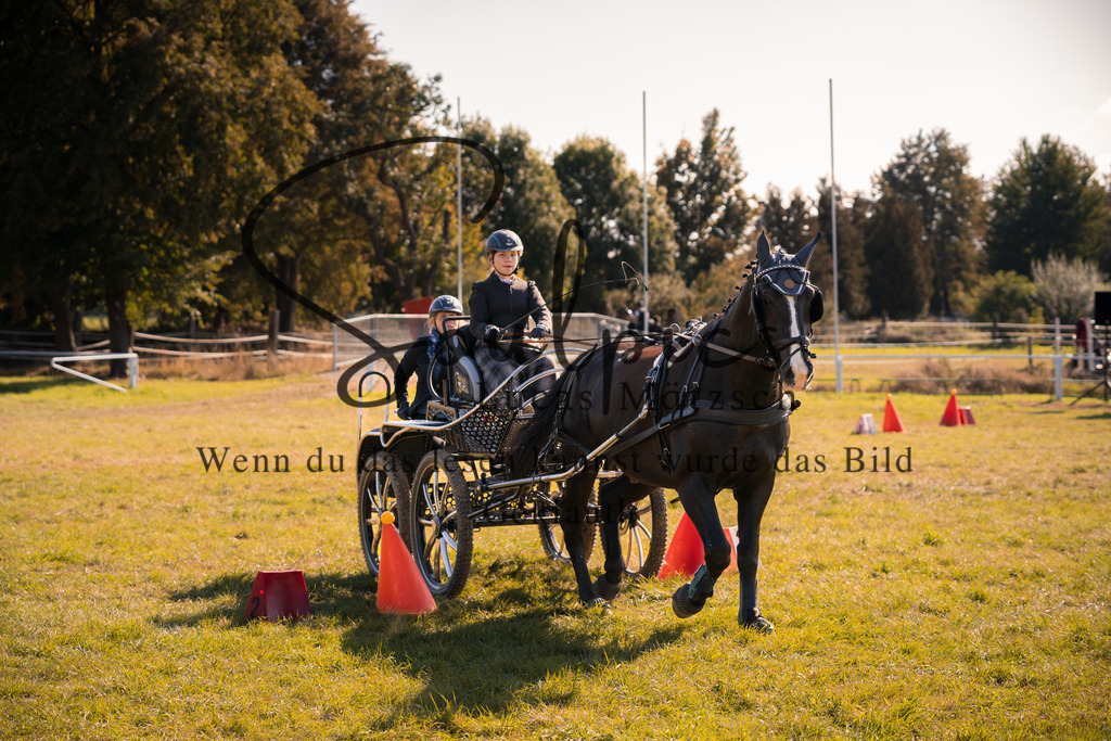 A7V04353 | Pferdefotograf